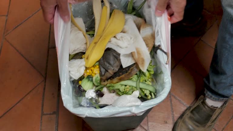 Best Retail Junk Removal  in Chelsea, MI